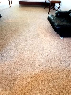 Carpet Cleaning in Bridgehampton